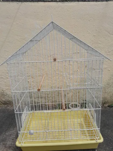 Vendo gaiola calopsita