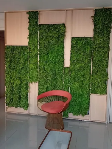 Painel instagramavel com jardim preservado