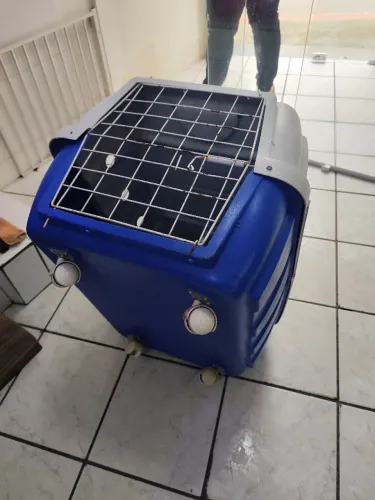 Vende-se caixa de transporte pet porte grande 