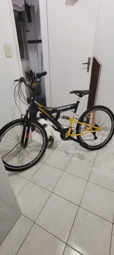 Bike track 