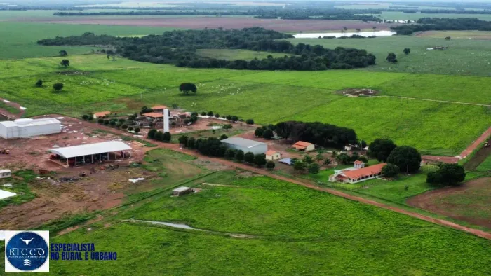Fazenda de 504 Alqueires em Alvorada-TO!