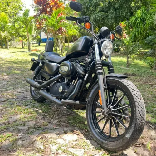 Harley Davidson XL Iron 883