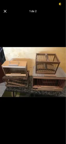 Vendo todas as gaiolas 50 reais