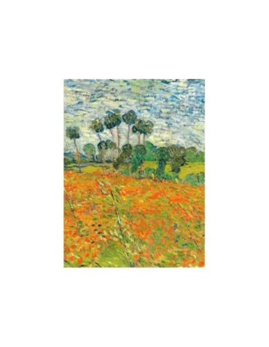 Livro Biologia Vegetal, Ravel, 8ª edição