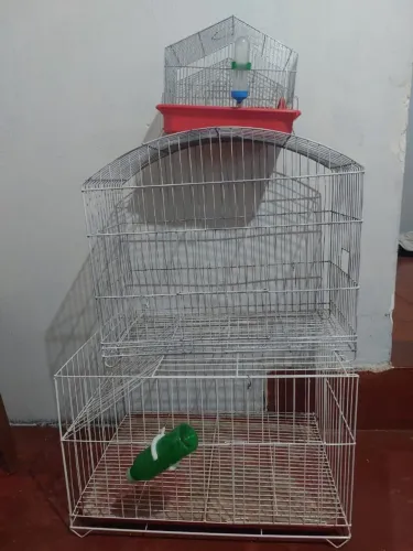Gaiola