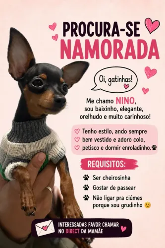 Procura se namorada