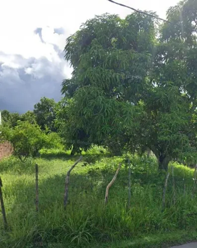 TERRENO A VENDA