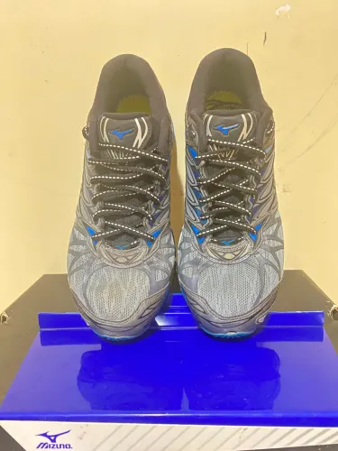 Mizuno Prophecy