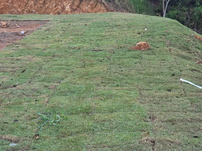 Terreno em Buenos aires