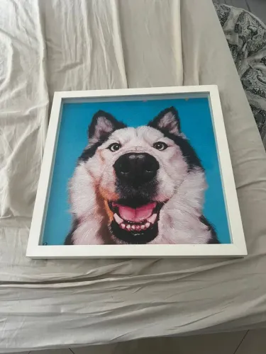 Quadro