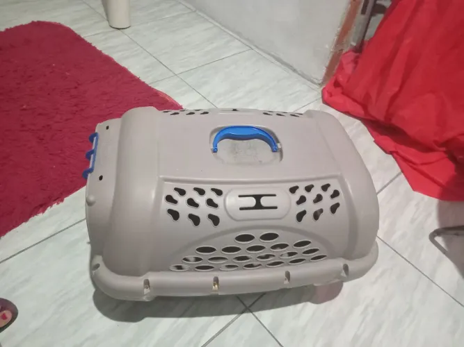 Caixa de transporte de animal de estimação