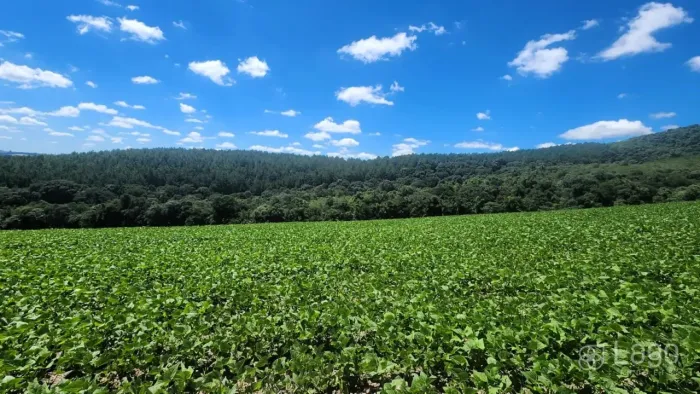 Área Rural Prudentópolis