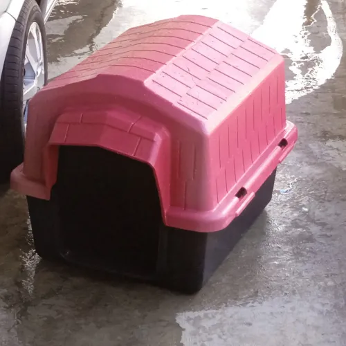 Casinha de cachorro