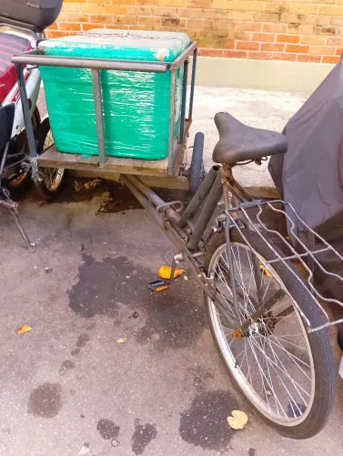 Triciclo de carga