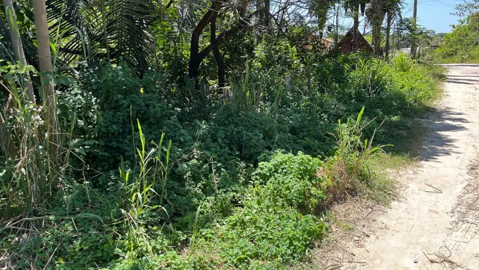Vendo terreno em salina (estrada do atalaia)