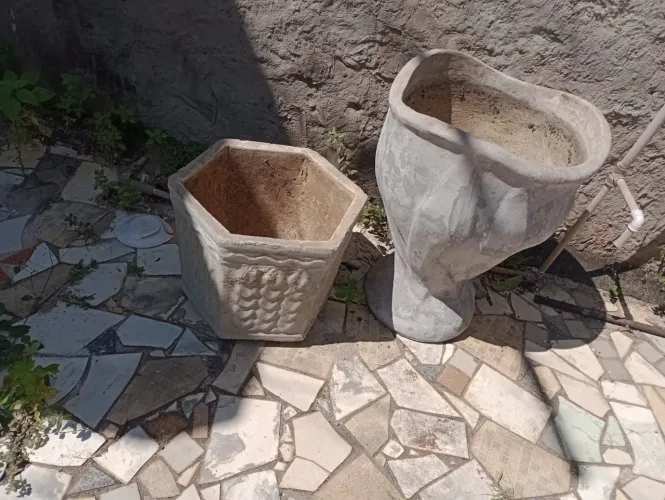 Vasos de plantas