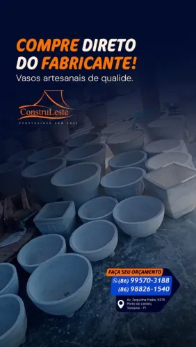 ? Vasos / Plantas / Decoração