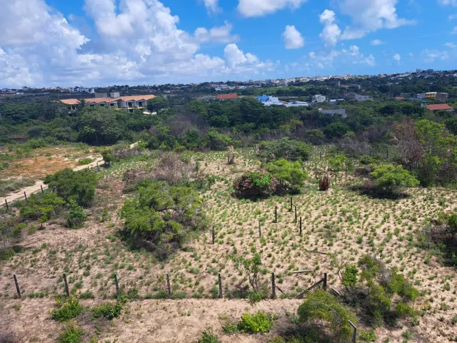 Terrenos Tabatinga