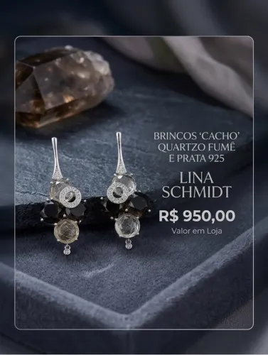 Brincos Schmith prata 925