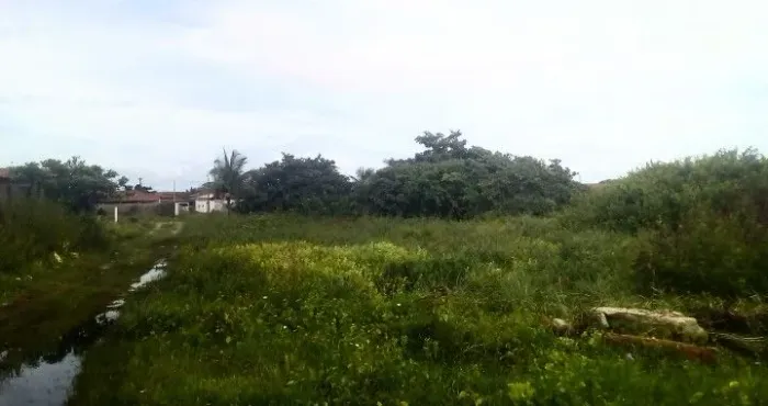 Terreno