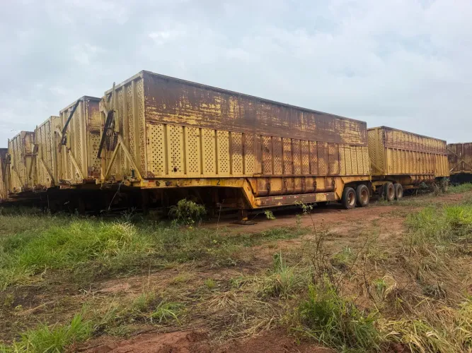 Rodotrem canavieiro cana picada 