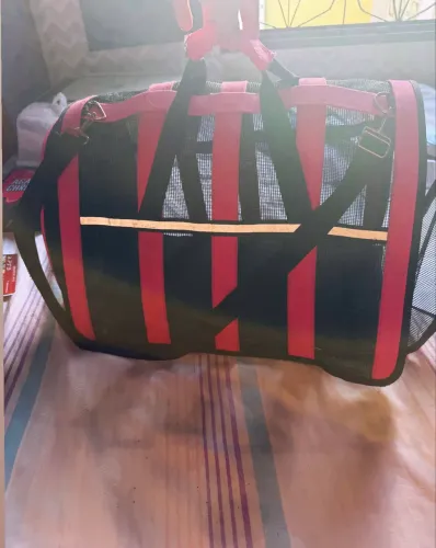 BOLSA TRANSPORTE CACHORRO + CADEIRINHA VEICULAR