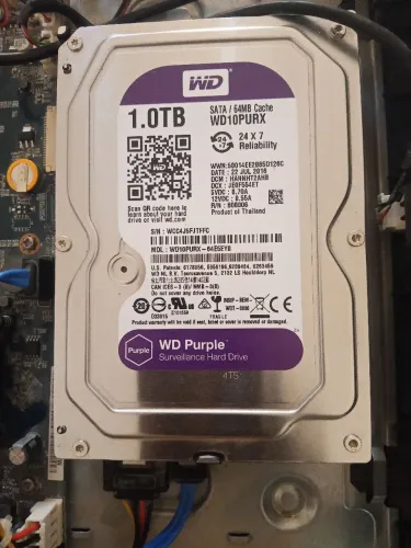 HD 1 TB WD purple