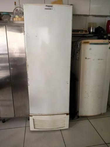 Freezer vertical