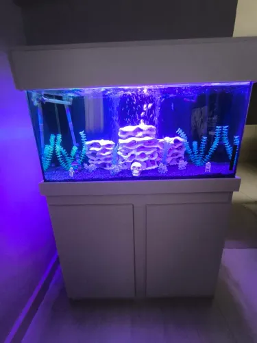 Aquário 200 litros