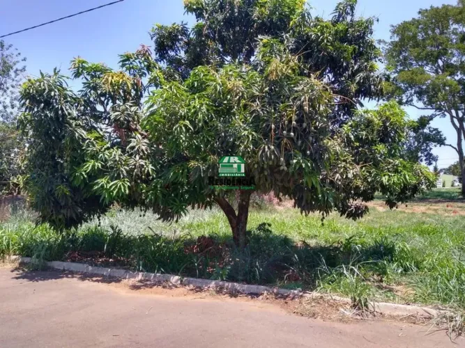Terreno Comercial para Venda Anápolis City, Anápolis