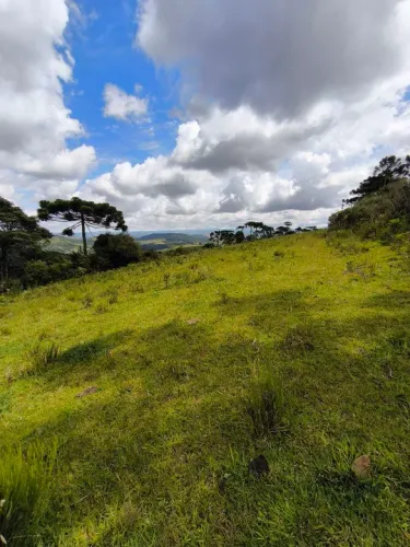 SÍTIO NA SERRA CATARINENSE 2 HECTARES- PERICÓ ENTRE URUBICI/SÃO JOAQUIM