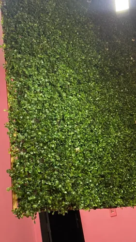 Jardim vertical placas 