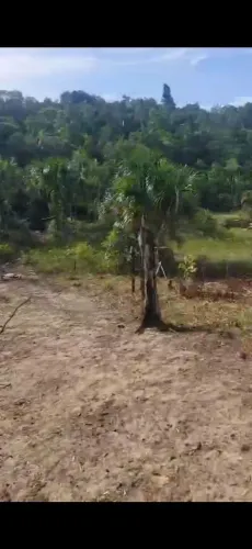 Vende se outra