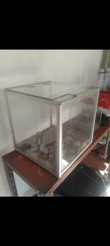 Aquário