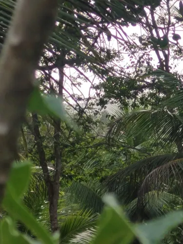 Oportunidade em Porto de Sauípe: terreno de 36.360 m² de excelente qualidade