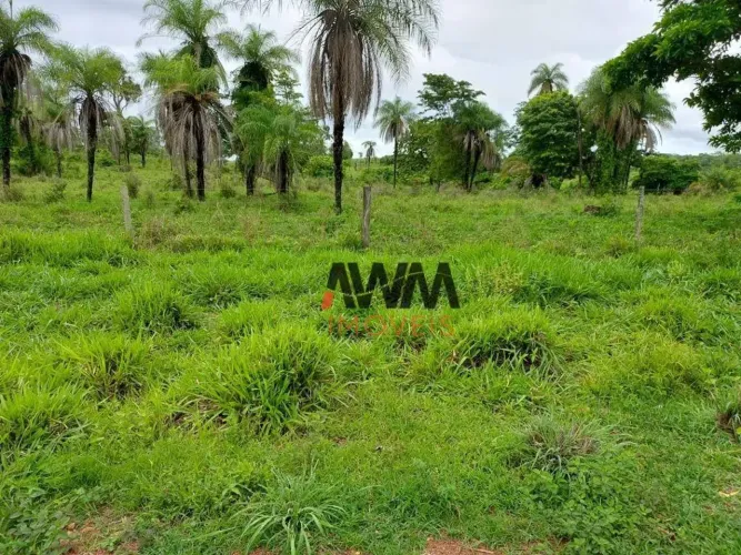 Fazenda à venda, m² por R$ 55.000.000,00 - Zona Rural - Duerê/TO
