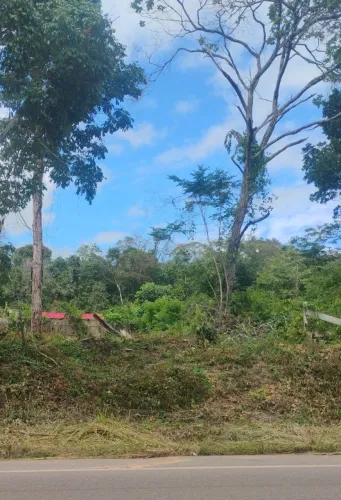 Terreno na Rodovia Santarém/Alter do Chão.