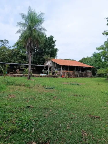 Fazenda à Venda com 36 Alqueires em São Miguel do Passa Quatro  GO