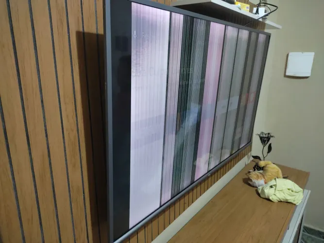 Tvs com defeito 