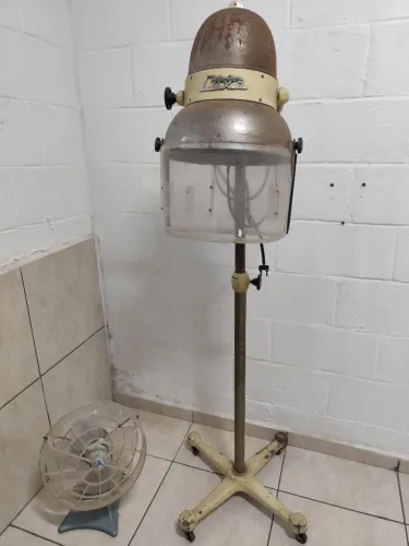 Secador de coluna raridade