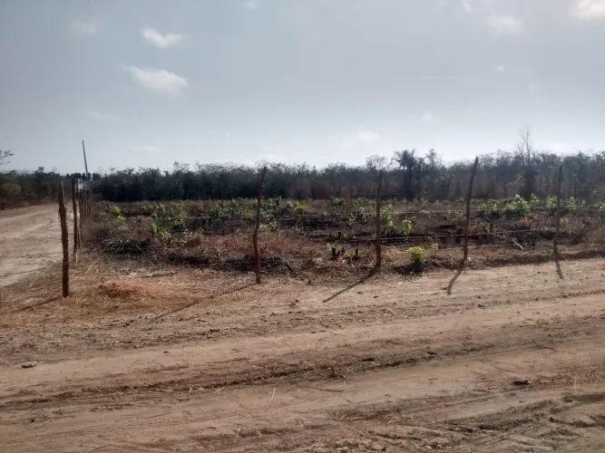 Terrenos na região sudeste