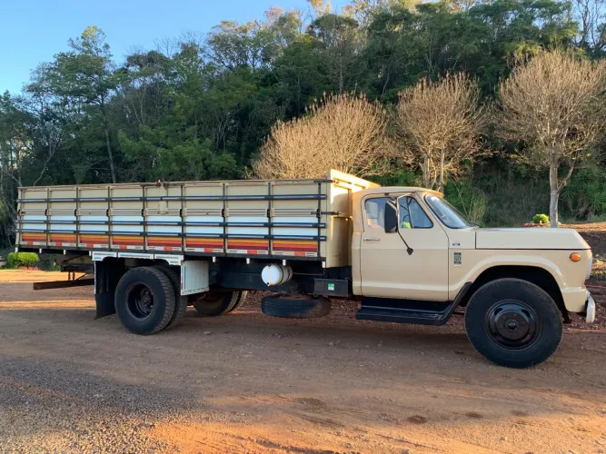 Chevrolet D60 - Raridade
