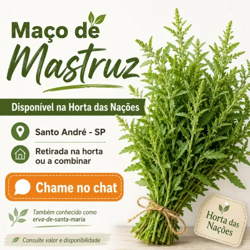 Maço de Mastruz em santo André