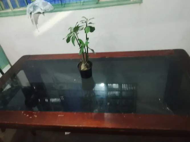 Vendo mesa por 180 não entrego sou de Goiânia *