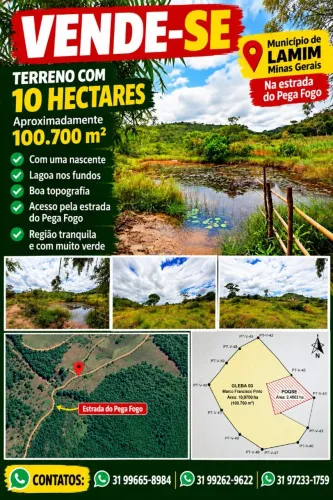 Vende-se Terreno com 10 hectares. Lamim MG