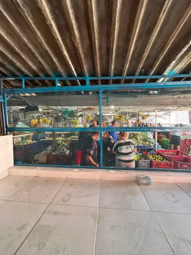 Alugo ponto comercial na feira de afogados
