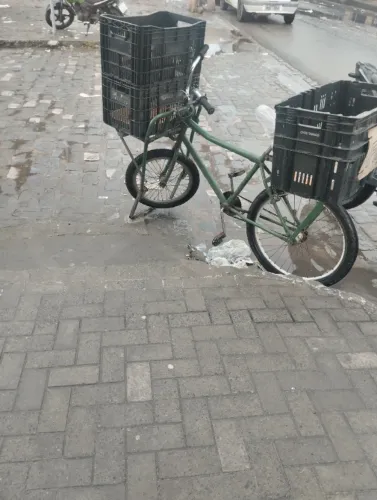 Bicicleta de carga
