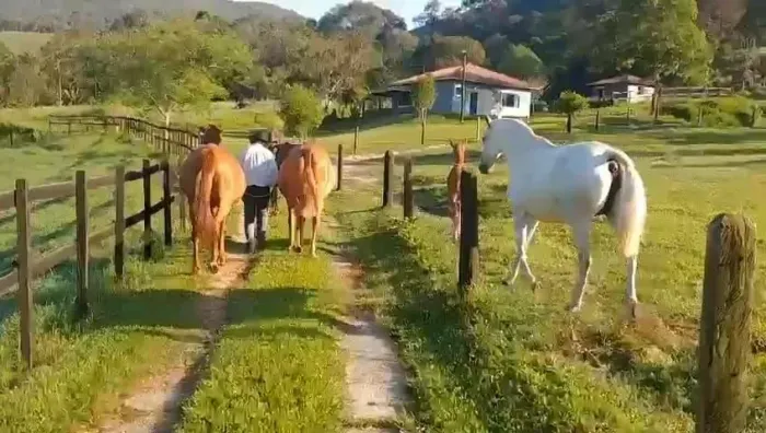 Imóvel para venda possui 2420000 metros quadrados em Águas de Igaratá - Igaratá - SP