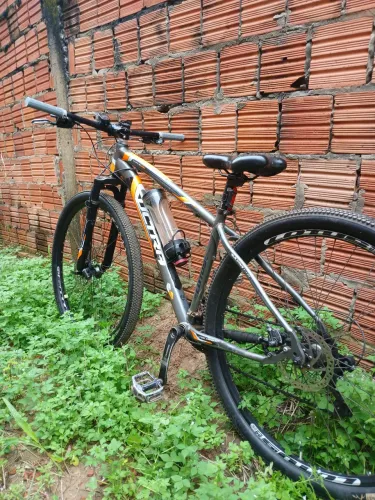 Lotus 29 perfect