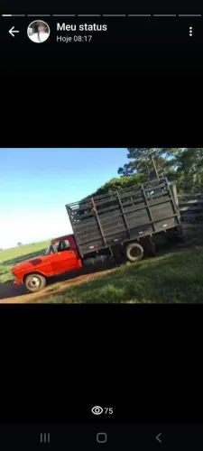 F4000 boiadeiro